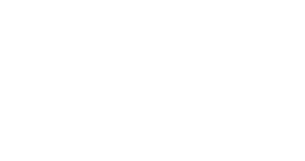 Nadační fond DAMU